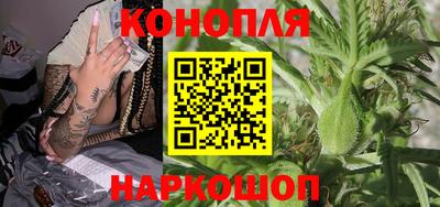 сатива Кунгур