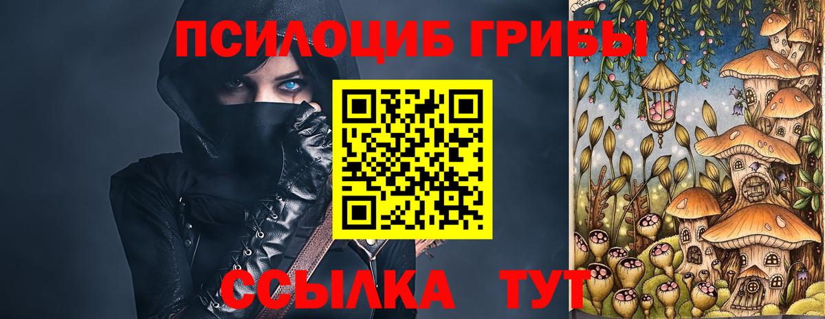 Галлюциногенные грибы Cubensis  где найти   Елабуга  Вход с VPN 
