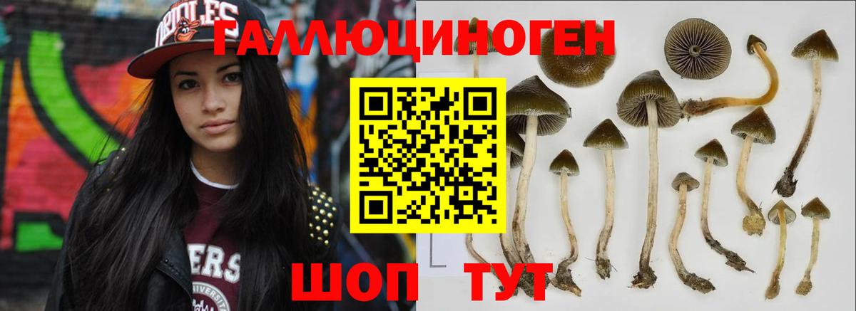 Амфетамин Елабуга